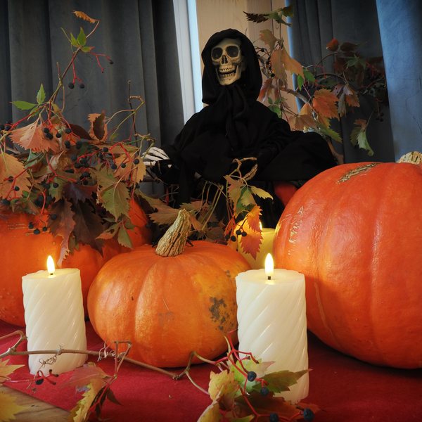Dwa domki z przeszklonymi szczytami i tarasem wśród sosen